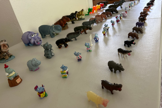Figuras de hipopótamos alineadas durante el inventario de la colección de Sheri Lynch.