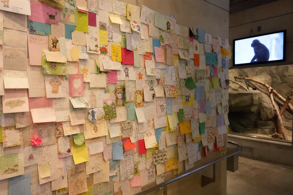 Recreación editorial de una exhibición cubierta con tarjetas de cumpleaños para Punch