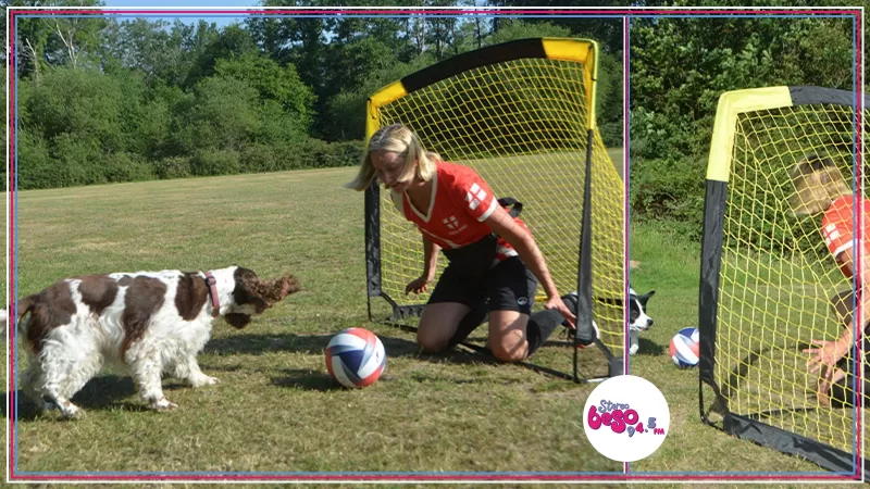 Bonnie y Simba: los perros que anotaron goles de fútbol para un récord