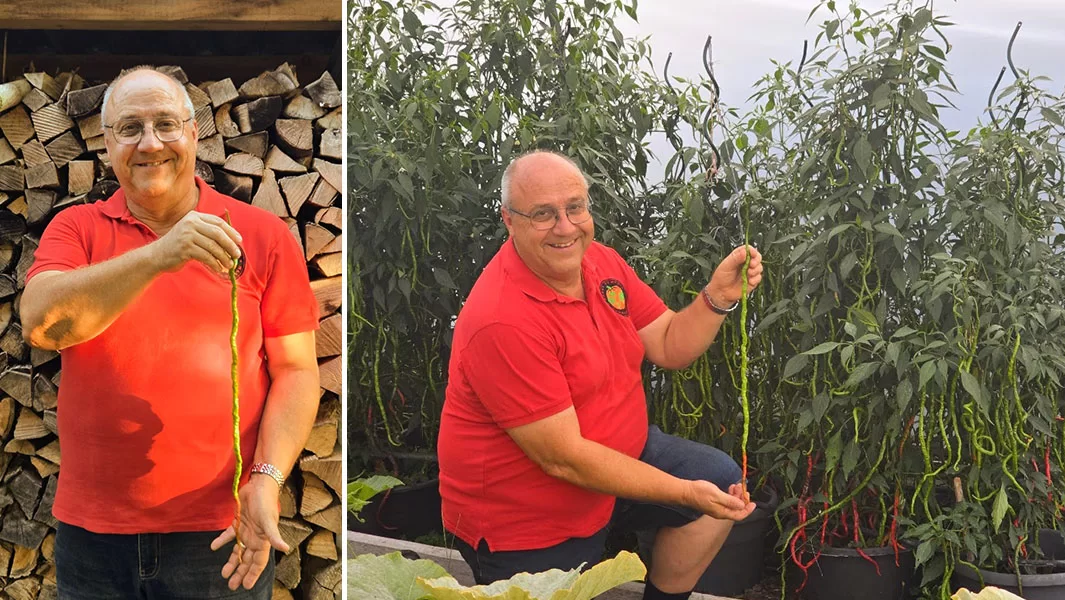 Un chile mas largo que un rodillo de cocina rompe el record Guinness