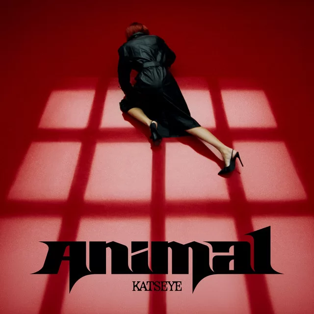 Arte oficial del sencillo Animal de KATSEYE