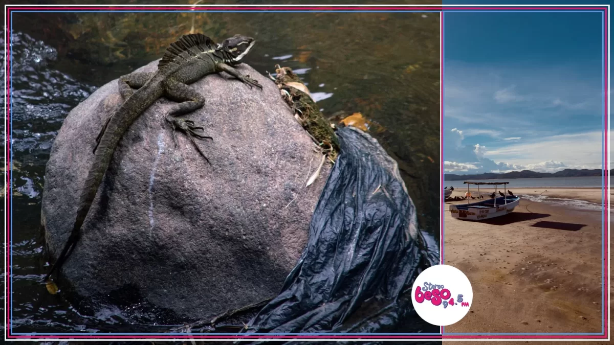 Dos fotos de Centroamérica ganan el concurso Comunidades Abiertas y Justicia Climática